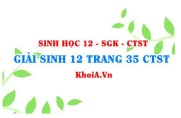 Giải Sinh 12 trang 35 Chân trời Sáng tạo